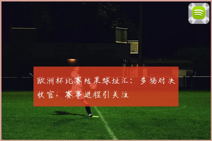 欧洲杯比赛结果球址汇：多场对决收官，赛事进程引关注