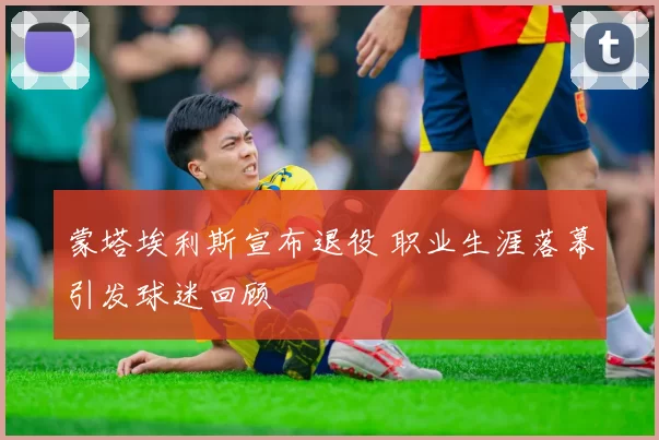 蒙塔埃利斯宣布退役 职业生涯落幕引发球迷回顾