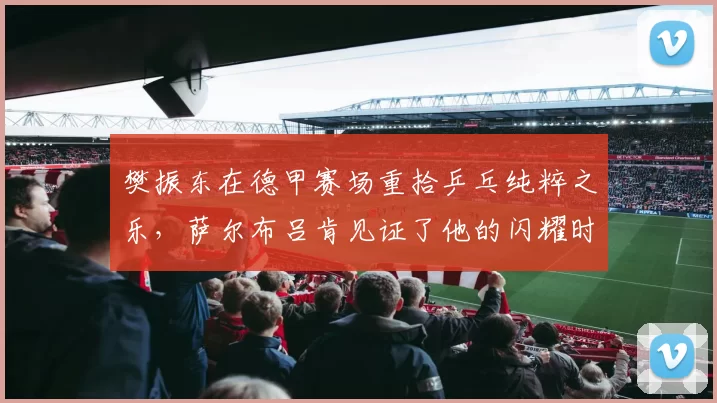 樊振东在德甲赛场重拾乒乓纯粹之乐，萨尔布吕肯见证了他的闪耀时刻