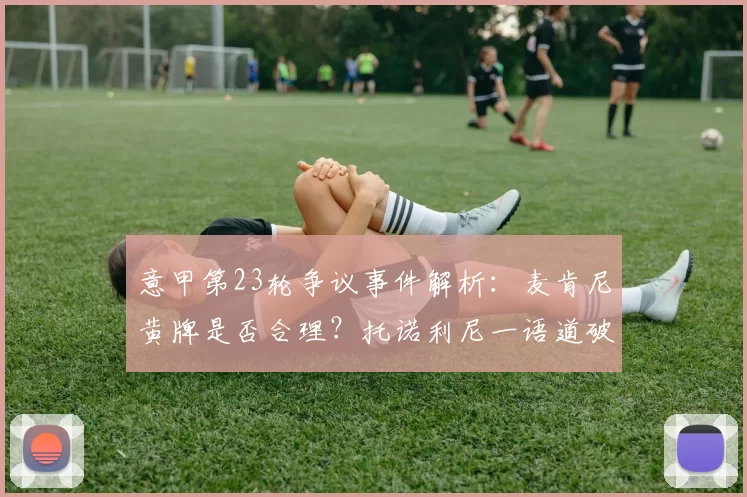 意甲第23轮争议事件解析：麦肯尼黄牌是否合理？托诺利尼一语道破