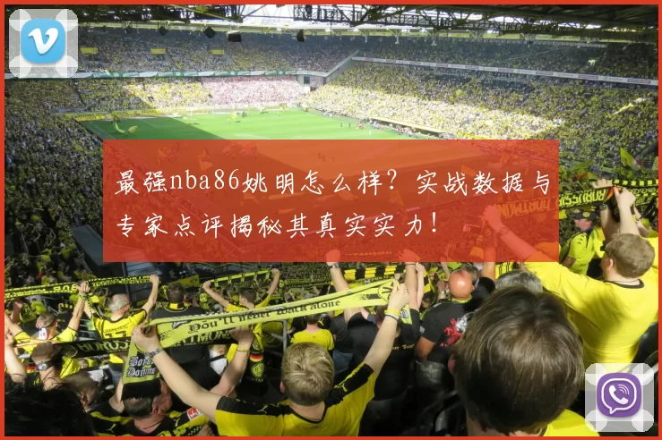 最强nba86姚明怎么样?实战数据与专家点评揭秘其真实实力!