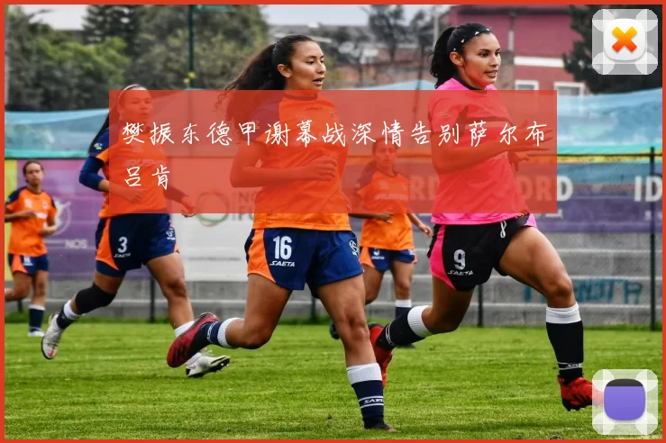 樊振东德甲谢幕战深情告别萨尔布吕肯