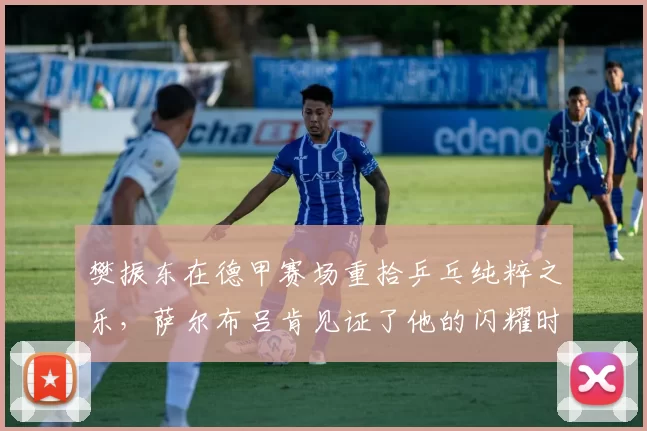 樊振东在德甲赛场重拾乒乓纯粹之乐，萨尔布吕肯见证了他的闪耀时刻