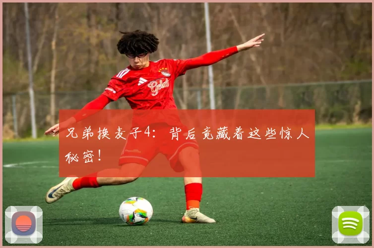 兄弟换麦子4：背后竟藏着这些惊人秘密！